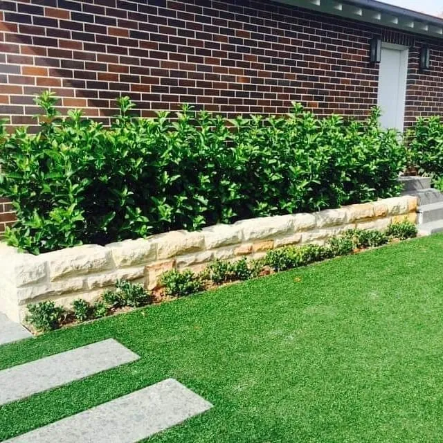 Finished sandstone garden wall with landscaped hedge